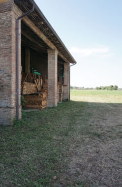 RUSTICO DI CAMPAGNA CON TERRENO E ACCESSORI