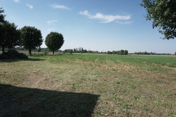 RUSTICO DI CAMPAGNA CON TERRENO E ACCESSORI