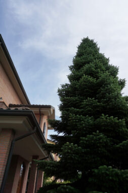 VILLA INDIPENDENTE CON GIARDINO