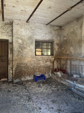 AFFASCINANTE CASA DI CAMPAGNA DA RISTRUTTURARE