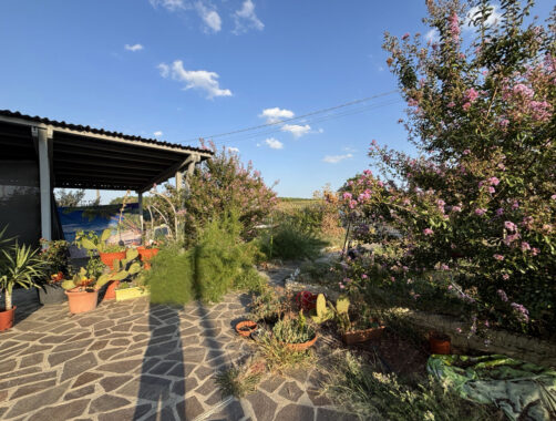 CASA A SCHIERA CON GIARDINO E TERRENO CIRCOSTANTE