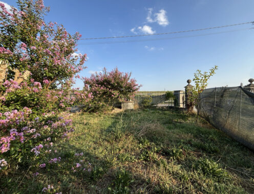 CASA A SCHIERA CON GIARDINO E TERRENO CIRCOSTANTE
