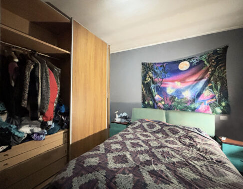 CASA A SCHIERA CON GIARDINO E TERRENO CIRCOSTANTE
