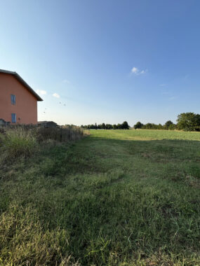 CASA A SCHIERA CON GIARDINO E TERRENO CIRCOSTANTE