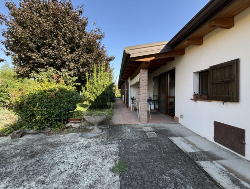 SEMINDIPENDENTE DI TESTA CON GIARDINO