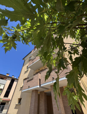 TRILOCALE CON AMPIO BALCONE E GARAGE