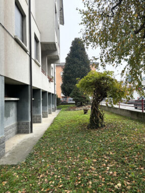 QUADRILOCALE SU DUE LIVELLI AFFITTI ALMA