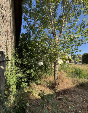 CASA INDIPENDENTE DA RISTRUTTURARE