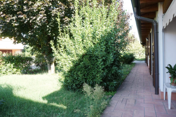 SEMINDIPENDENTE DI TESTA CON GIARDINO