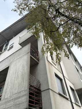QUADRILOCALE SU DUE LIVELLI AFFITTI ALMA