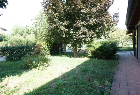 SEMINDIPENDENTE DI TESTA CON GIARDINO