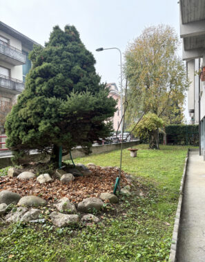 QUADRILOCALE SU DUE LIVELLI AFFITTI ALMA