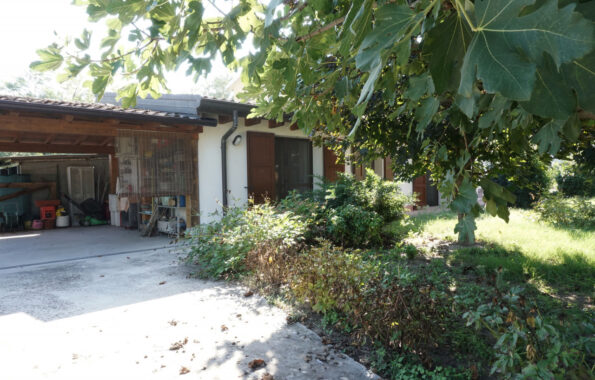 SEMINDIPENDENTE DI TESTA CON GIARDINO