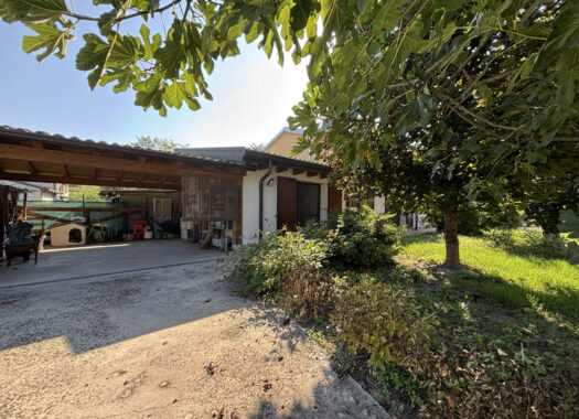 SEMINDIPENDENTE DI TESTA CON GIARDINO