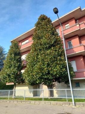TRILOCALE PER AFFITTI TRANSITORI PER STUDENTI