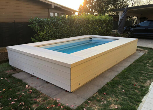 PORZIONE DI TESTA CON PISCINA E AMPIO GIARDINO