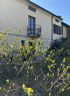 TRILOCALE ACCOGLIENTE SU DUE LIVELLI