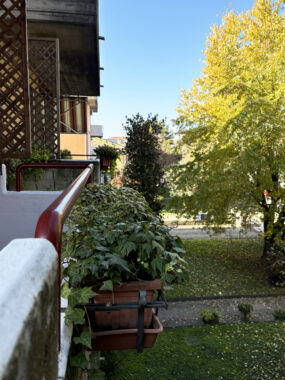 TRILOCALE RISTRUTTURATO CON TERRAZZO