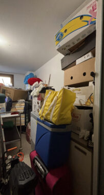 TRILOCALE CON GIARDINO PRIVATO