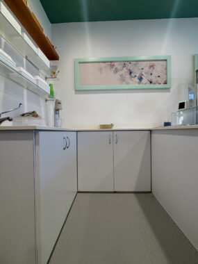 ATTIVITA’ COMMERCIALE GELATERIA