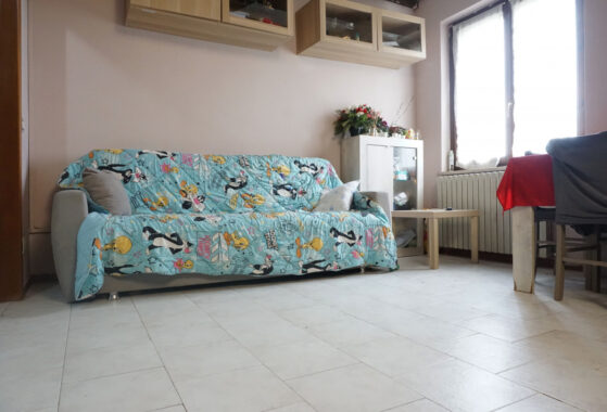 TRILOCALE SU DUE LIVELLI IN PICCOLA CORTE