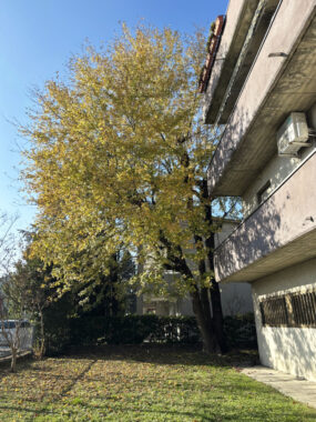 QUADRILOCALE SPAZIOSO IN CENTRO PAESE