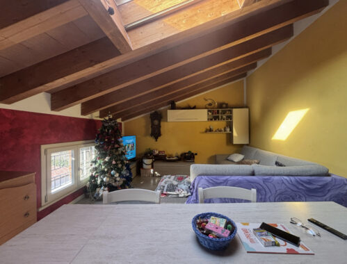 BIFAMILIARE RISTRUTTURATA CON AMPIO PARCO