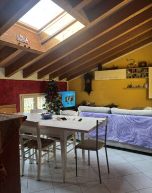 BIFAMILIARE RISTRUTTURATA CON AMPIO PARCO