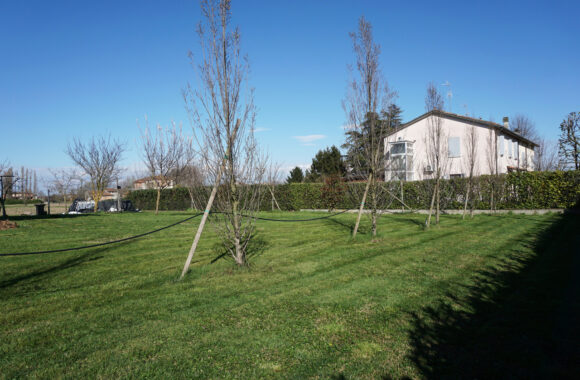 VILLA INDIPENDENTE CON PARCO