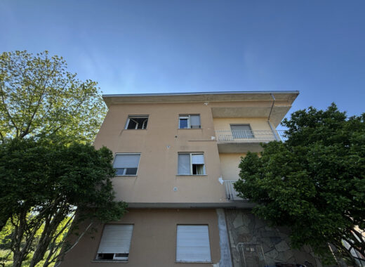 SPAZIOSO PENTALOCALE CON GIARDINO