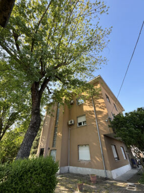 SPAZIOSO PENTALOCALE CON GIARDINO