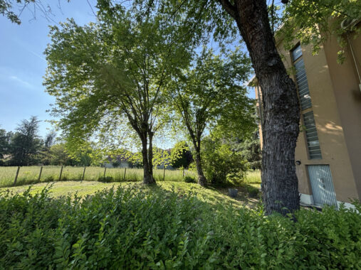 SPAZIOSO PENTALOCALE CON GIARDINO