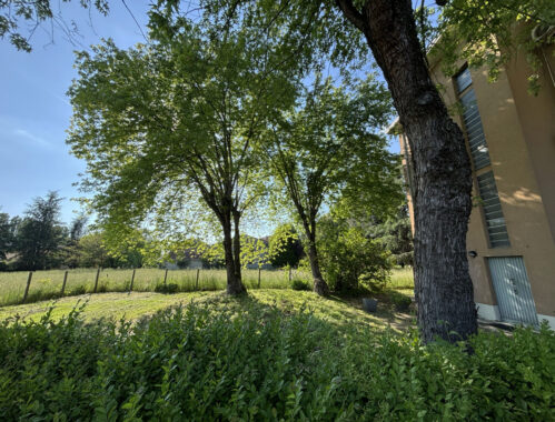 SPAZIOSO PENTALOCALE CON GIARDINO