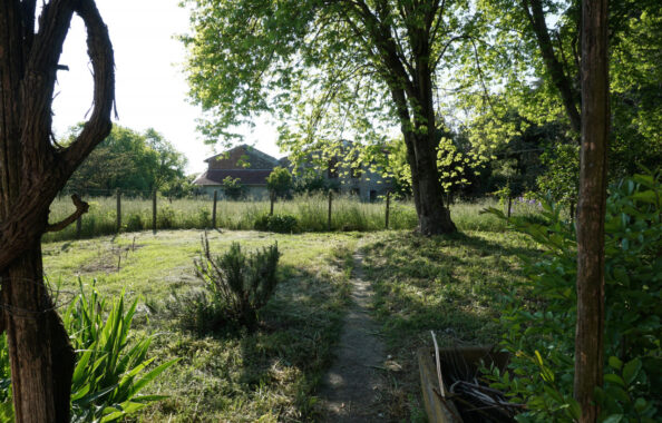 SPAZIOSO PENTALOCALE CON GIARDINO