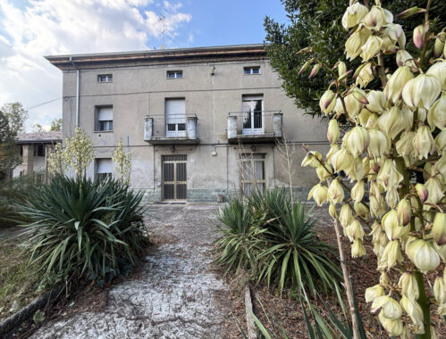 TRIFAMILIARE CON GIARDINO E FABBRICATO ACCESSORIO IN CAMPAGNA PARMENSE