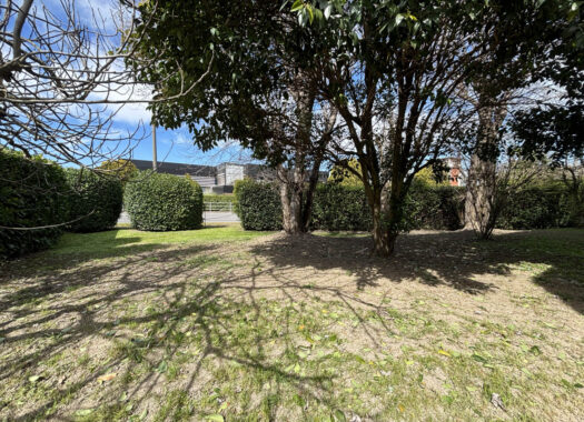 TRILOCALE LUMINOSO CON AMPIO TERRAZZO