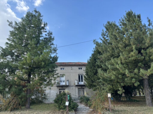 TRIFAMILIARE CON GIARDINO E FABBRICATO ACCESSORIO IN CAMPAGNA PARMENSE