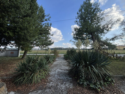 TRIFAMILIARE CON GIARDINO E FABBRICATO ACCESSORIO IN CAMPAGNA PARMENSE