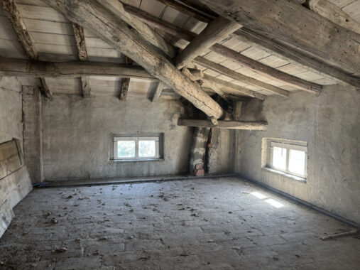 TRIFAMILIARE CON GIARDINO E FABBRICATO ACCESSORIO IN CAMPAGNA PARMENSE