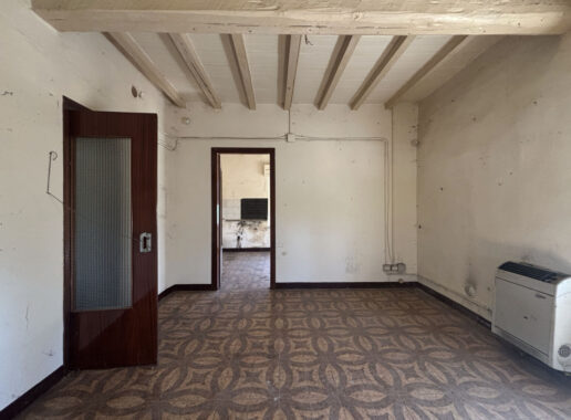 TRIFAMILIARE CON GIARDINO E FABBRICATO ACCESSORIO IN CAMPAGNA PARMENSE