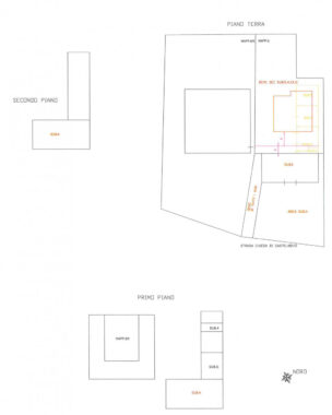 TRIFAMILIARE CON GIARDINO E FABBRICATO ACCESSORIO IN CAMPAGNA PARMENSE