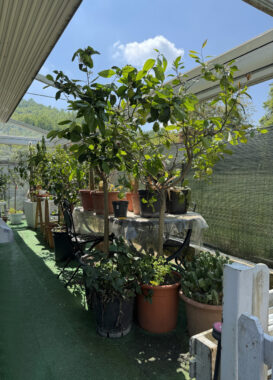 SPLENDIDA PORZIONE DI BIFAMILIARE CON AMPIO GIARDINO
