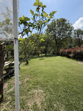 SPLENDIDA PORZIONE DI BIFAMILIARE CON AMPIO GIARDINO