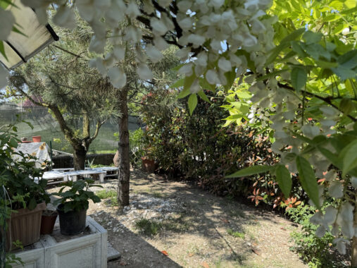 SPLENDIDA PORZIONE DI BIFAMILIARE CON AMPIO GIARDINO