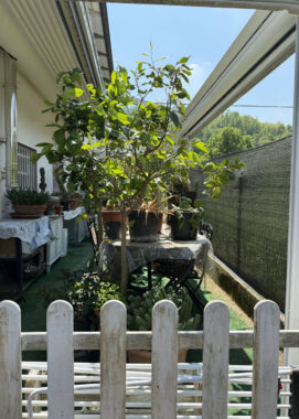 SPLENDIDA PORZIONE DI BIFAMILIARE CON AMPIO GIARDINO