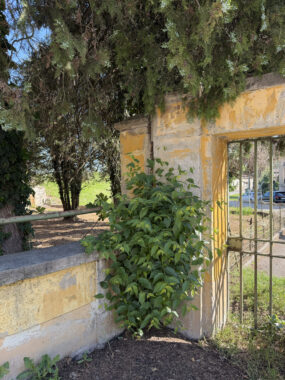 VILLA D’EPOCA CON GIARDINO