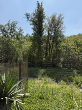 SPLENDIDA PORZIONE DI BIFAMILIARE CON AMPIO GIARDINO