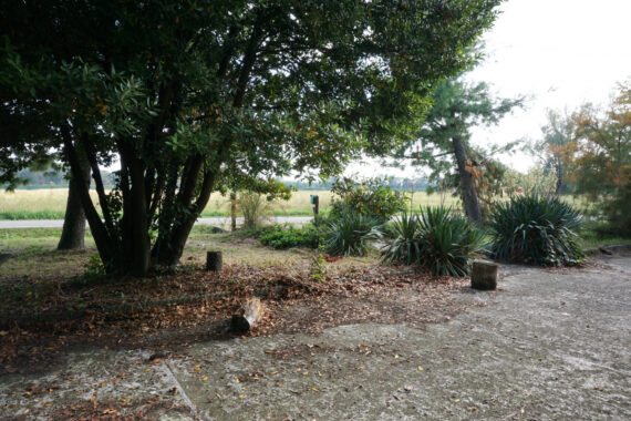 BIFAMILIARE CON GIARDINO E AREA CORTILIZIA