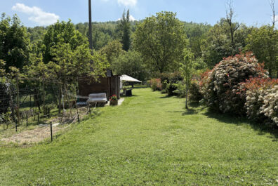 , Home