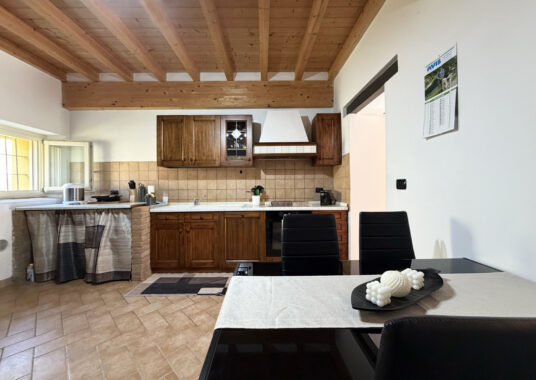 VILLA CONTEMPORANEA CON AMPIO GIARDINO